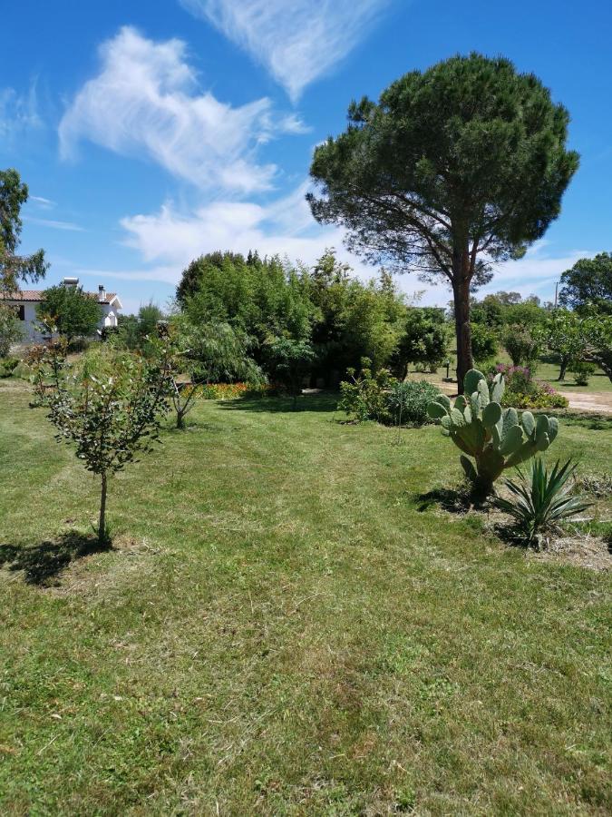 Home Garden Siniscola Luaran gambar