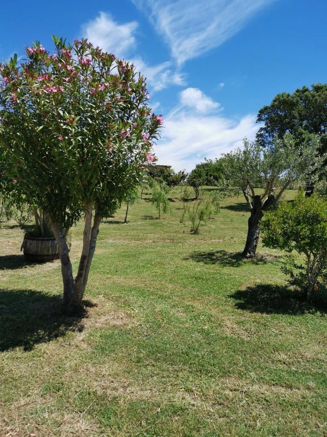 Home Garden Siniscola Luaran gambar