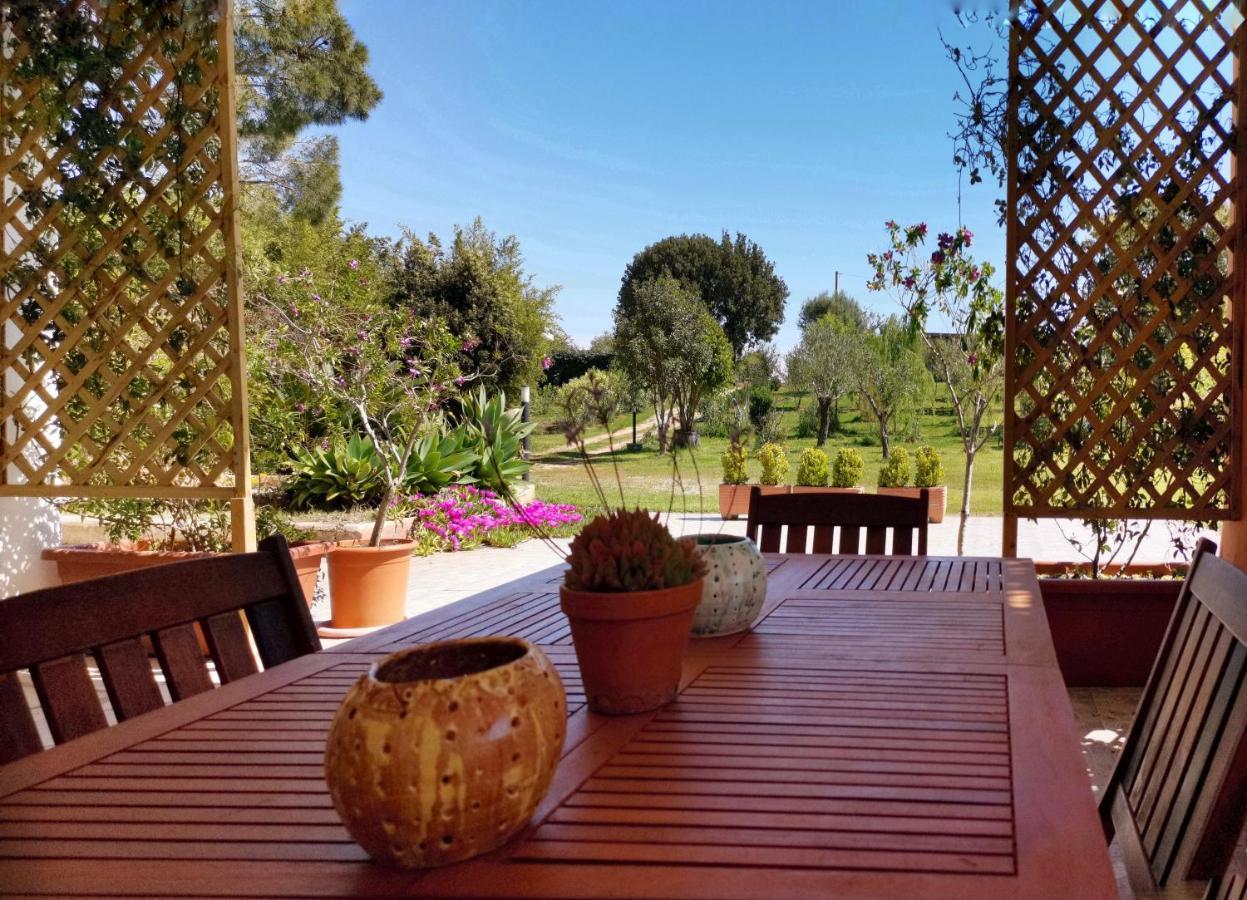 Home Garden Siniscola Luaran gambar