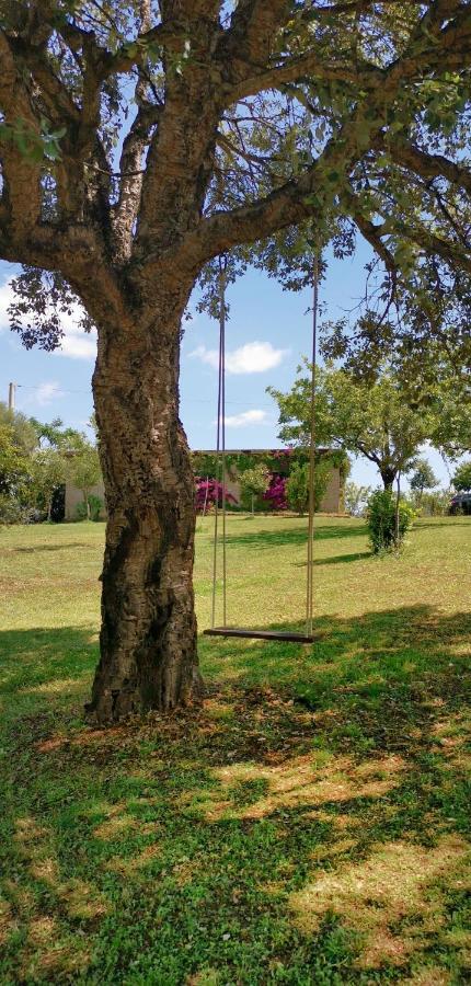 Home Garden Siniscola Luaran gambar