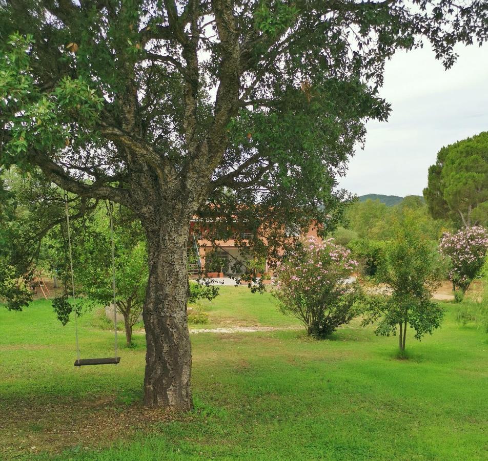 Home Garden Siniscola Luaran gambar